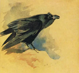 Kolkrabe, veröffentlicht von Book Club Associates, 1972